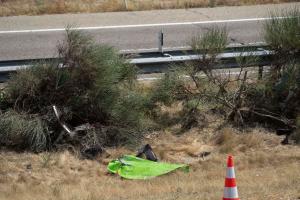 安全第一若塔车祸公路限速120公里，调查显示车速或超140km/h